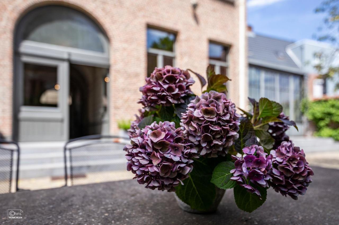 B&B La Corderie Hamme Eksteriør bilde
